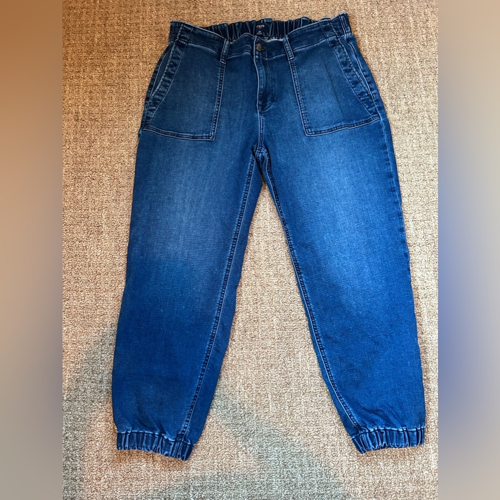 J Crew  Blue Denim Jogger Pants Size 32